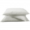 Core Pillow Feather & Down 1700gm