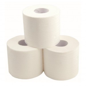 EcoGem Unwrapped Toilet Tissue Recycled 2 Ply 400sh